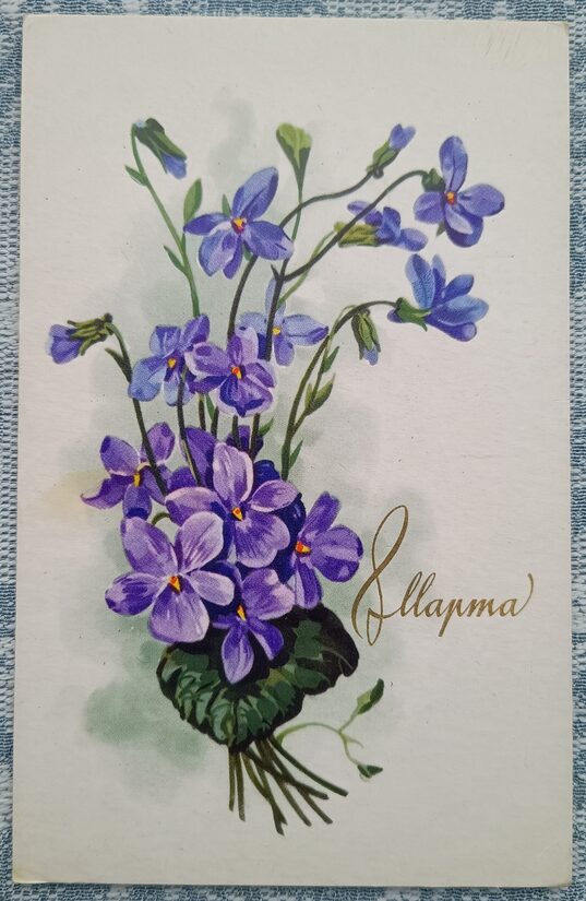 Violets 1971 USSR postcard March 8 9x14 cm   