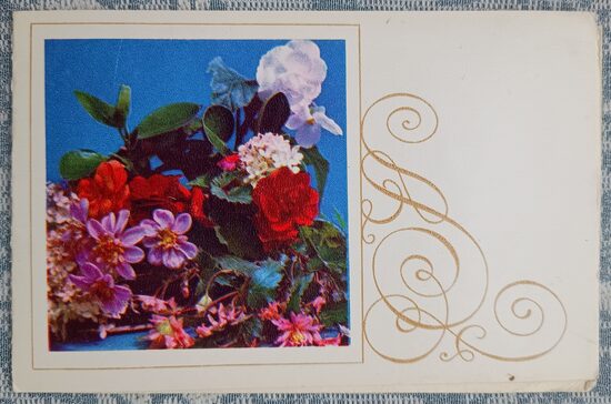 Spring Flowers 1971 USSR postcard March 8 14x9 cm  