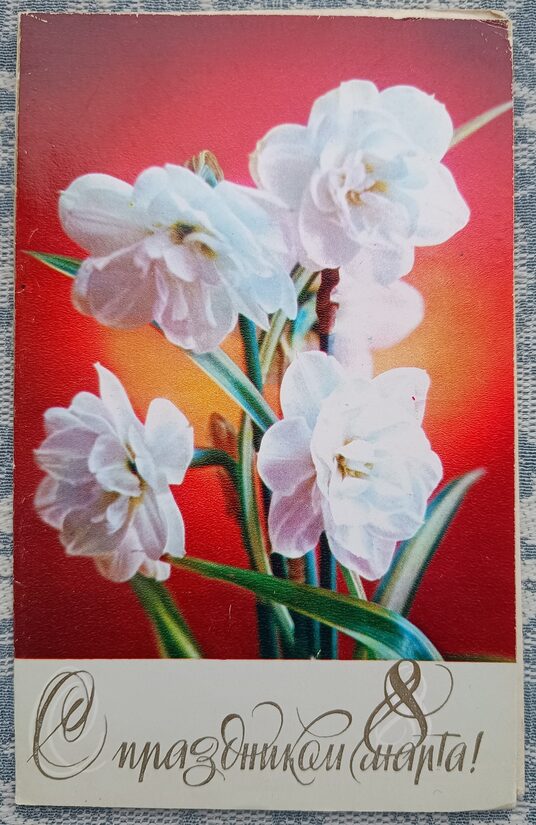 White Daffodils 1980 USSR Postcard March 8 9.5 x 15.5 cm  