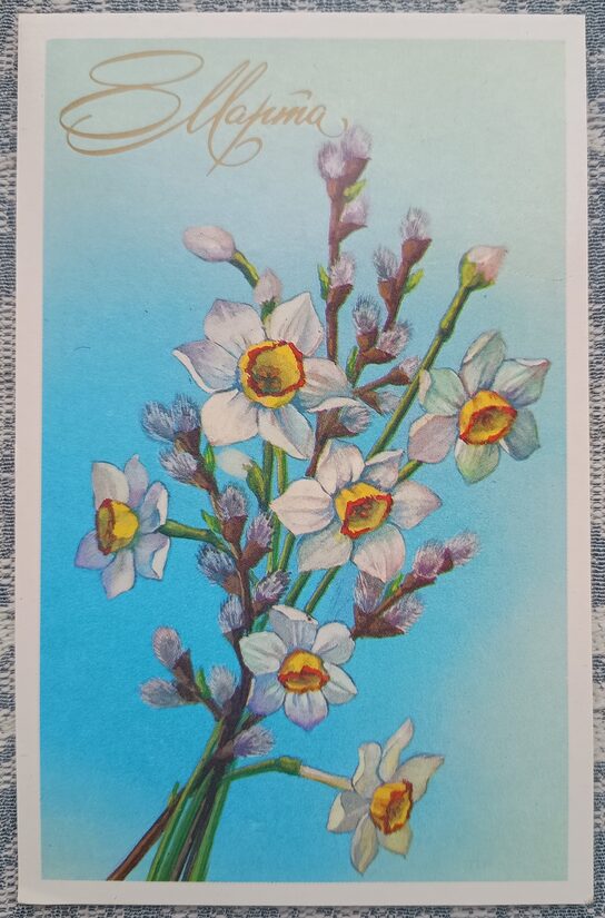 Willow and Daffodils 1989 USSR Postcard March 8 9x14 cm  