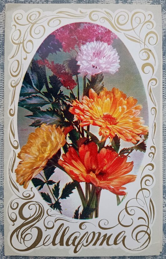 Gerberas 1980 USSR postcard March 8 9.5 x 15 cm  