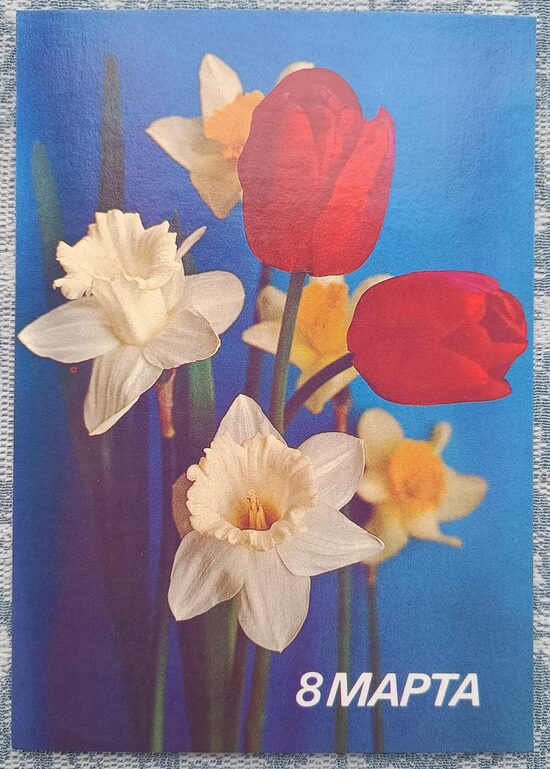 Tulips and Daffodils 1987 USSR Postcard March 8 10.5 x 15 cm  