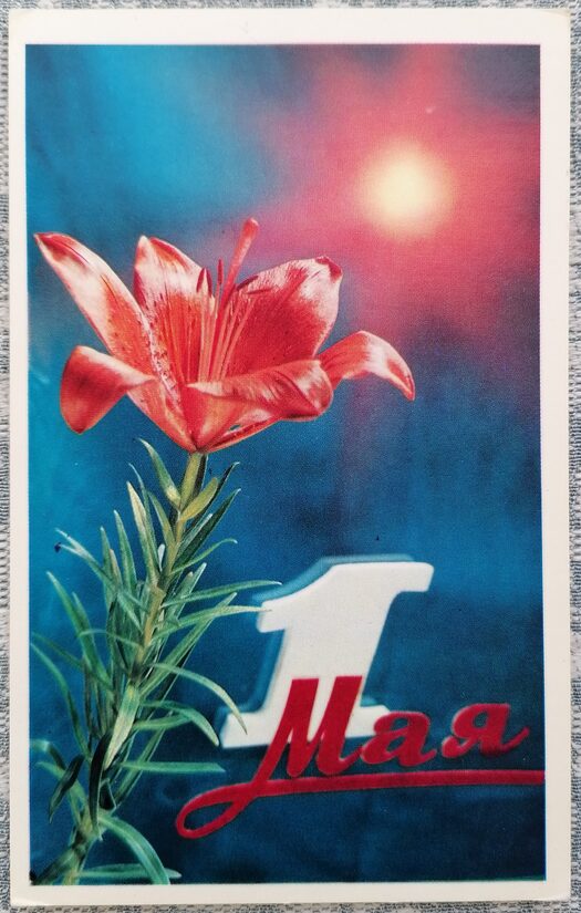 May 1 Lily 1972 USSR postcard 9x14 cm  