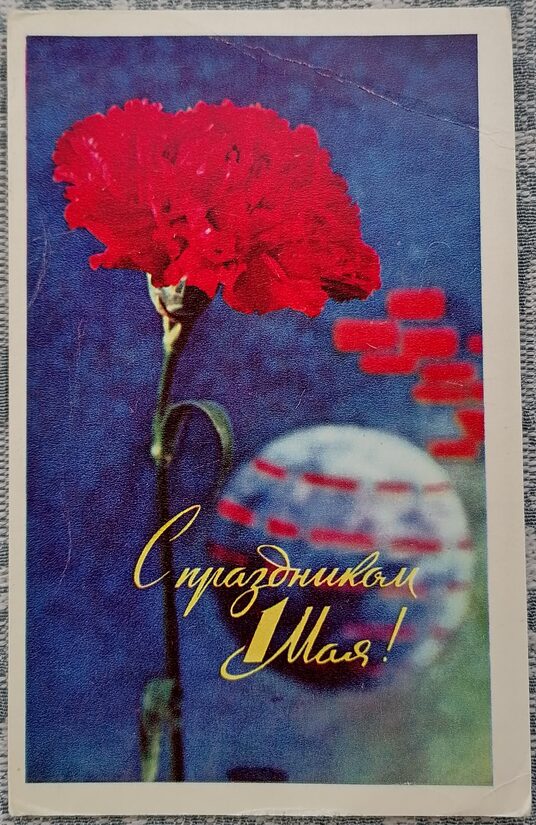 May 1st. Carnation against the backdrop of the globe 1971 USSR postcard 9x14 cm  
