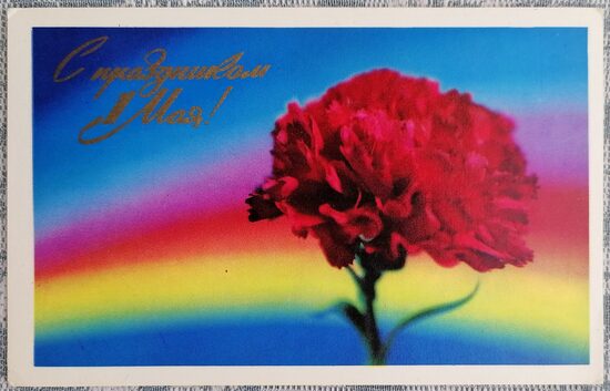 May 1st Carnation and Rainbow 1971 USSR Postcard 14x9 cm  