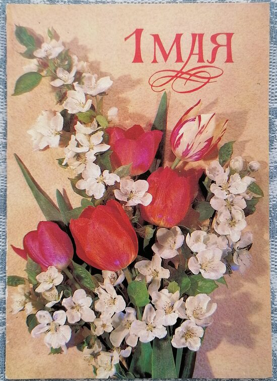 1. maijs Ziedošu ābeļu zaru un tulpju pušķis 1986 PSRS pastkarte 10,5 x 15 cm  