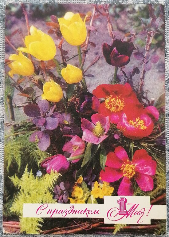 1. maijs Dzelteno tulpju pušķis 1971 PSRS pastkarte 10,5 x 15 cm    