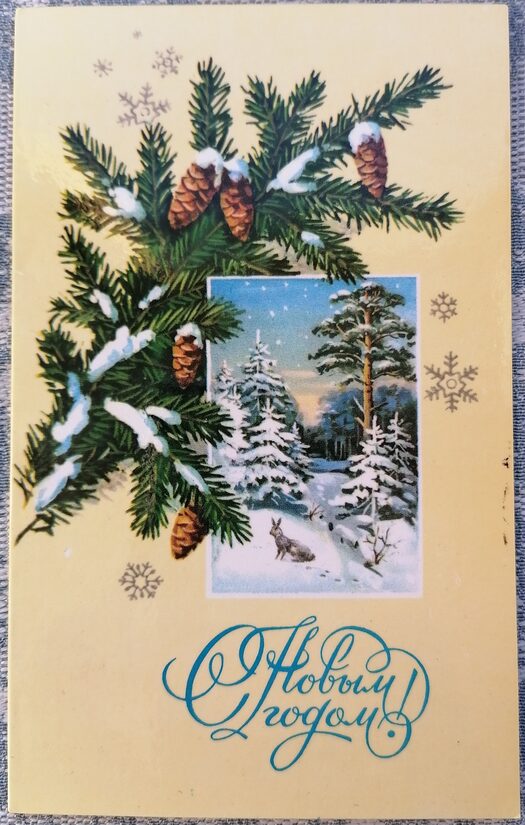 Еловая ветка с шишками 1985 Новогодняя открытка СССР 9,5x15 см  