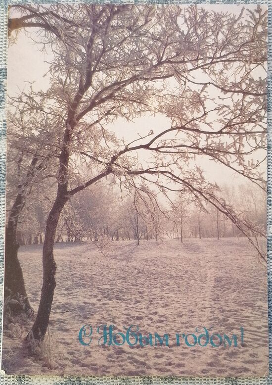 Заснеженное поле в зимнем лесу 1985 Новогодняя открытка СССР 10,5x15 см   
