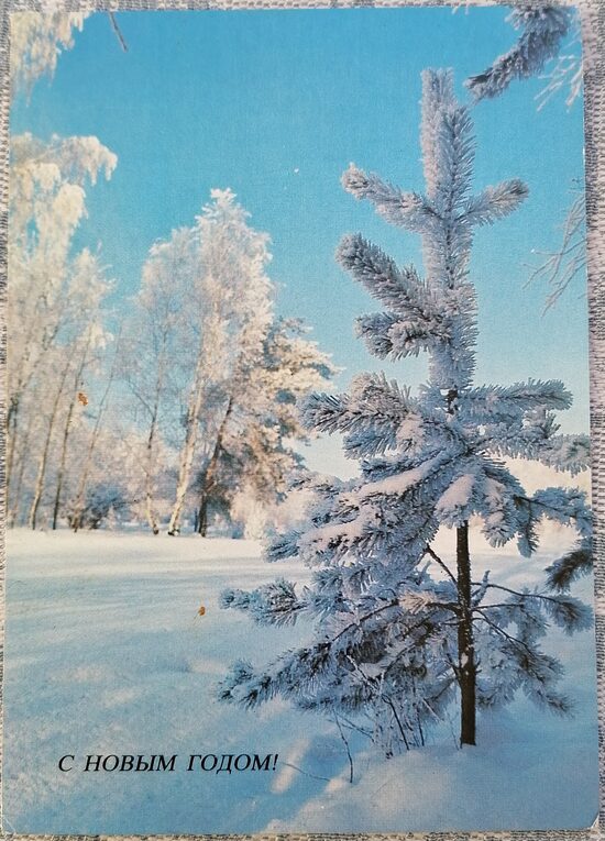 Маленькая ёлочка в зимнем лесу 1984 Новогодняя открытка СССР 10,5x15 см  