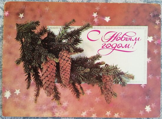 Еловая ветка с шишками 1984 Новогодняя открытка СССР 15x10,5 см  