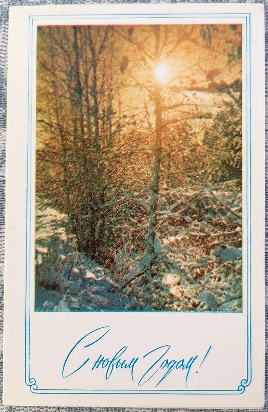 Зимний лес 1973 Новогодняя открытка СССР 9x14 см  