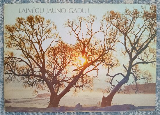 Берег реки зимой 1989 Новогодняя открытка Латвии 15x10,5 см  