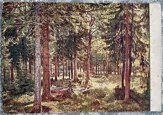 Mežs 1933 Ivans Šiškins 15x10,5 cm PSRS pastkarte  