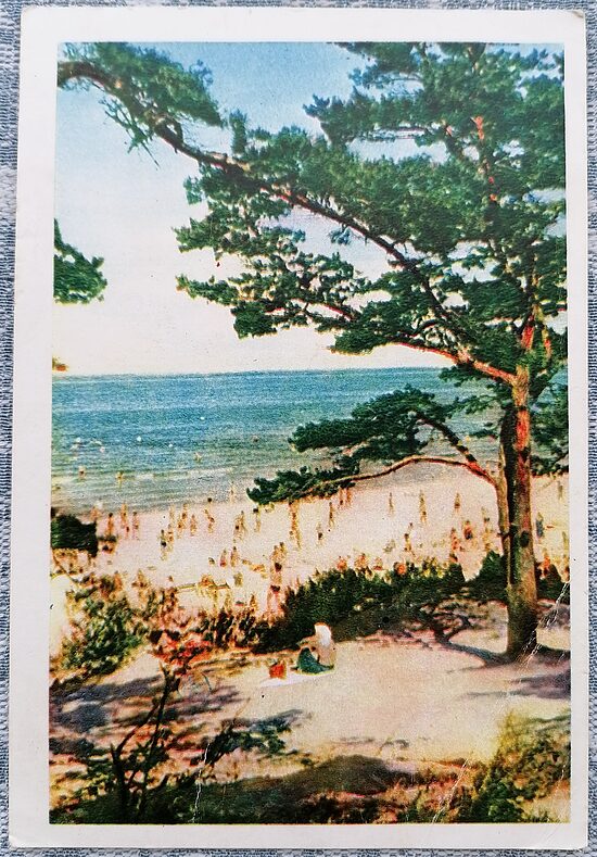 Riga seaside 1960 Latvia 10x15 cm Jurmala view postcard   