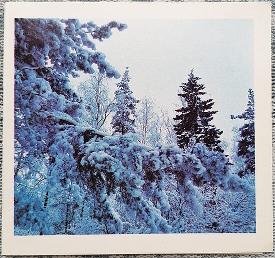 Winter Forest 1984 New Year's card Latvia 11x10.5 cm  