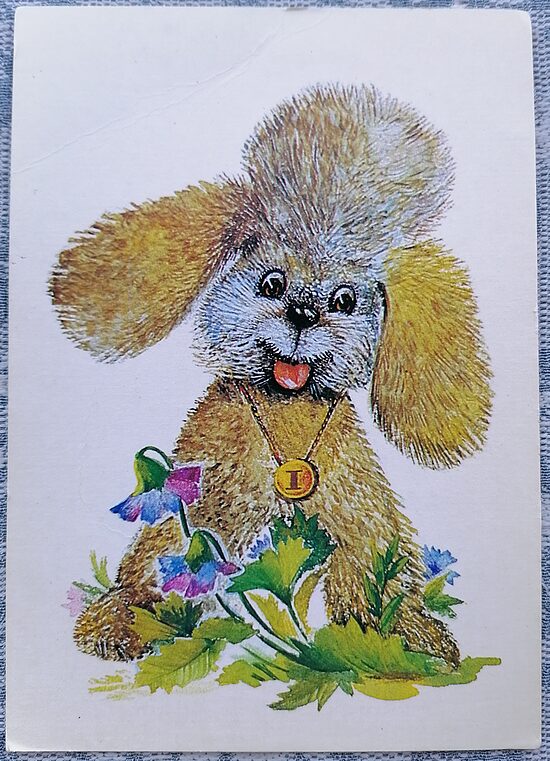 Poodle puppy 1989 children's postcard USSR 10.5x15 cm  
