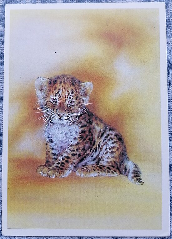 Leopardie 1989 children's postcard USSR 10.5x15 cm  