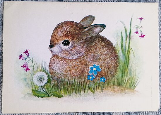 Little Bunny 1985 children's postcard USSR 10.5x7.5 cm  