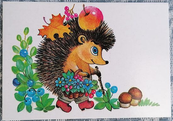 Hedgehog Picking Mushrooms 1985 USSR children's postcard 10.5 x 7.5 cm  