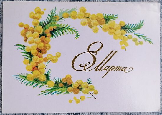 Mimosa Sprig 1983 March 8th postcard USSR 10.5 x 7.5 cm  