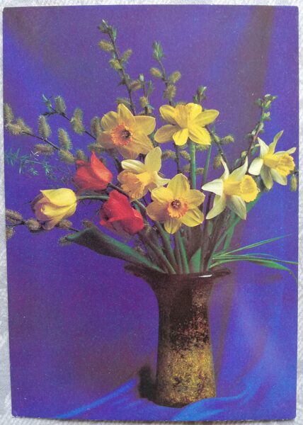 Greeting card "Daffodils with a willow" 1986 "Flowers" 10.5x15 cm. Photo by V. Zelenova