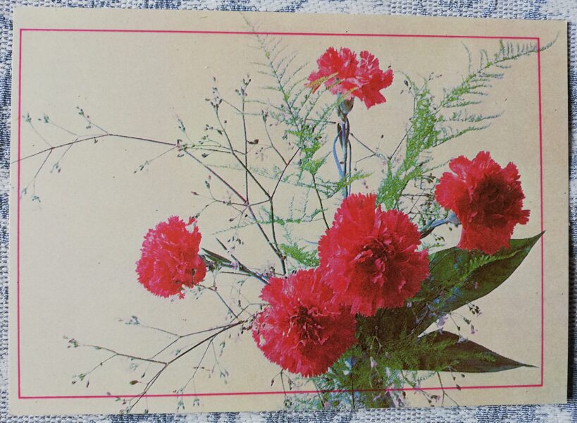 Greeting card "Red Carnations" 1986 "Flowers" 15x10.5 cm. Photo by Maris Kundzins