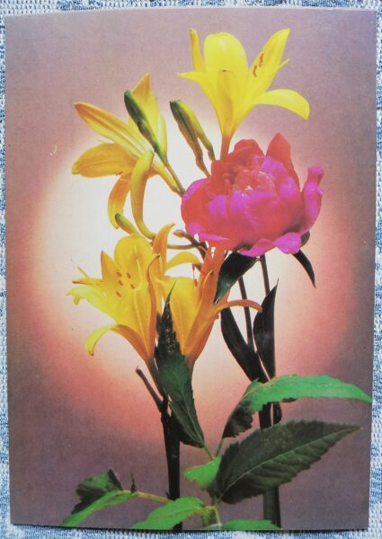 Greeting card "Yellow freesias and peony" 1985 "Flowers" 10.5x15 cm. Photo by E. Steinert, T. Steinert
