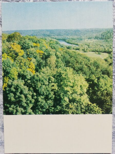 Sigulda 1969 View of the ancient river Gauja from the tower of the Turaida castle 10x14 cm postcard