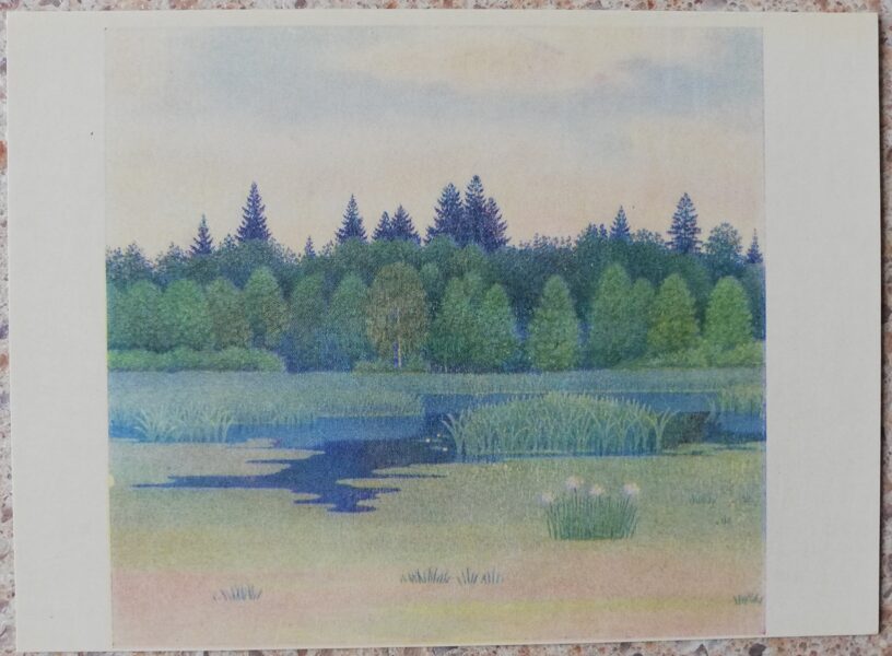 Lydia Meshkaitite 1969 Overgrown lake 14.5x10.5 cm art postcard 