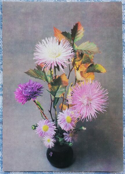 1984 "Composition of flowers" 10.5x14.5 cm Greeting card; color photo by E. Savalov 