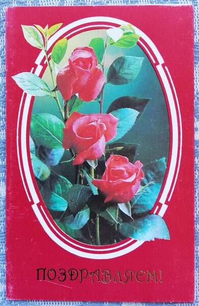 1989 "Congratulations!" 9x14 cm Roses photo G. Kostenko 