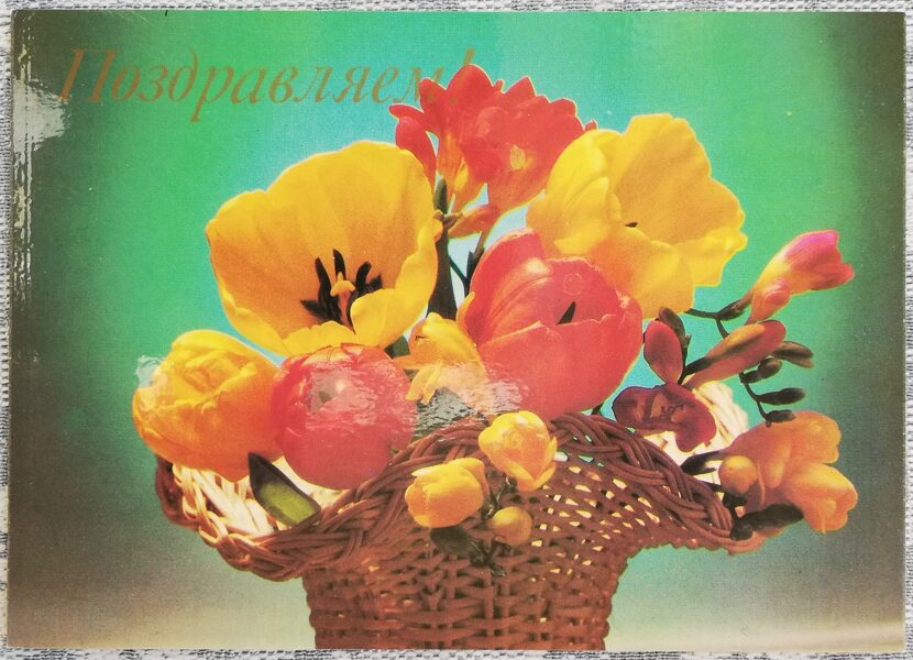 Apsveikuma kartīte 1985. gads "Apsveicam!" 15x10,5 cm Grozs ar tulpēm un frēzijām 