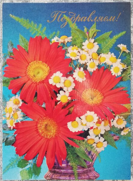 Greeting card 1985 "Congratulations!" 10,5x14,5 cm Gerberas with camomiles 
