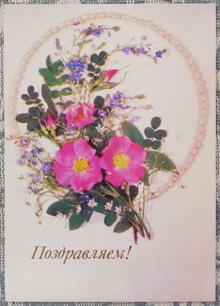 Поздравительная открытка 1987 «Поздравляем!» 10,5x15 см Букет шиповника 