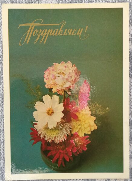 Greeting card 1983 "Congratulations!" 10,5x15 cm Bouquet with asters 