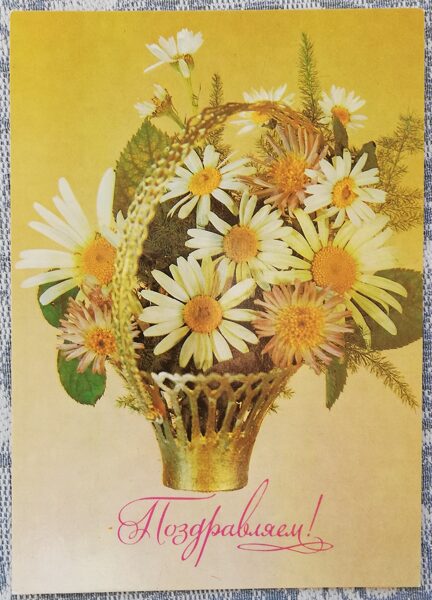 Поздравительная открытка 1983 «Поздравляем!» 10,5x15 см Корзина с ромашками Министерство связи СССР 