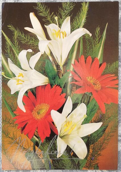 Apsveikuma kartīte 1985. gads "Apsveicam!" 10,5x15 cm Gerberas un lilijas 