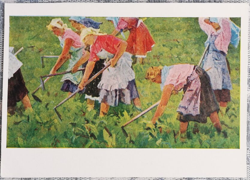 Aleksandrs Bubnovs 1960 Uz lauka 15x10,5 cm PSRS pastkarte  