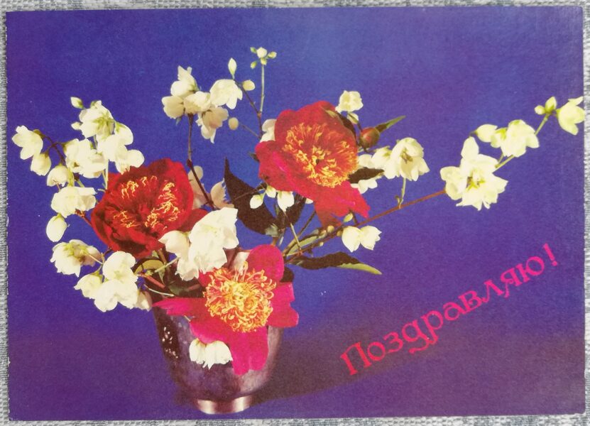«Поздравляю!» 1990 поздравительная открытка CССР Пионы и жасмин 15x10,5 см  