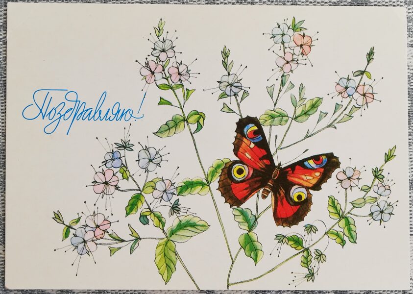 "Congratulations!" 1989 greeting card of the USSR Butterfly on wildflowers 15x10.5 cm 