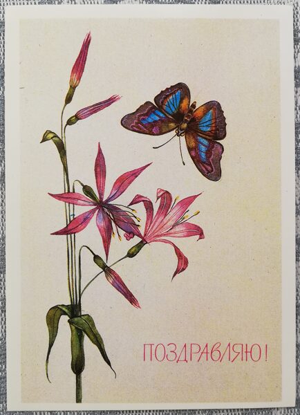 "Apsveicu!" 1989. gada apsveikuma kartīte PSRS Tauriņš uz savvaļas ziediem 10,5x15 cm  