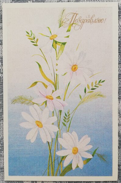 "Congratulations!" 1989 greeting card of the USSR field daisies 9x14 cm 