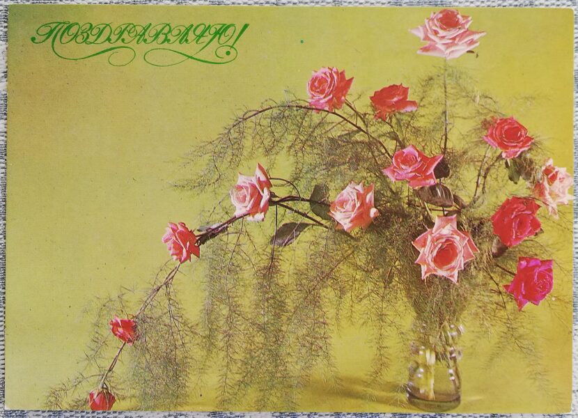 «Поздравляю!» 1980 поздравительная открытка CССР Розовые розы в стеклянной вазе 15x10,5 см  