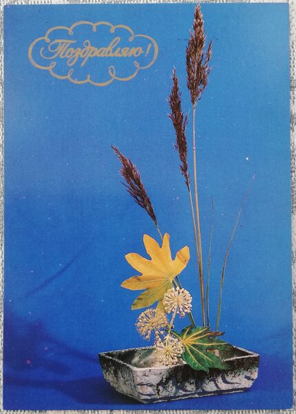 "Apsveicu!" 1983. gada PSRS apsveikuma kartīte Ikebana uz zila fona 10,5x15 cm  