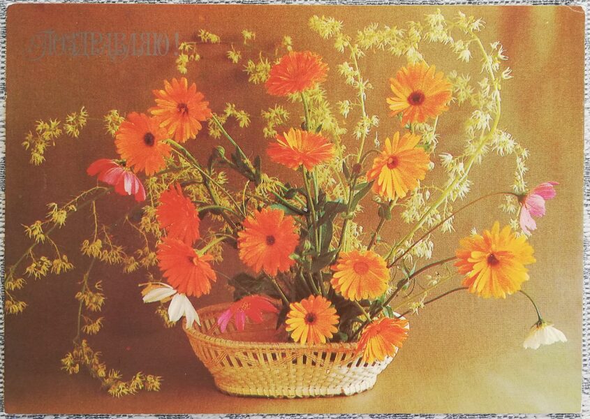 «Поздравляю!» 1984 поздравительная открытка CССР Календулы в корзинке 15x10,5 см  
