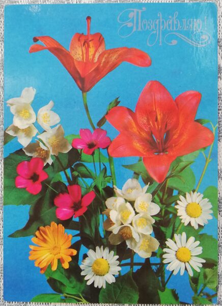 "Apsveicu!" 1980. gada PSRS apsveikuma kartīte Kumelīte, jasmīns un lilija 10,5x15 cm  