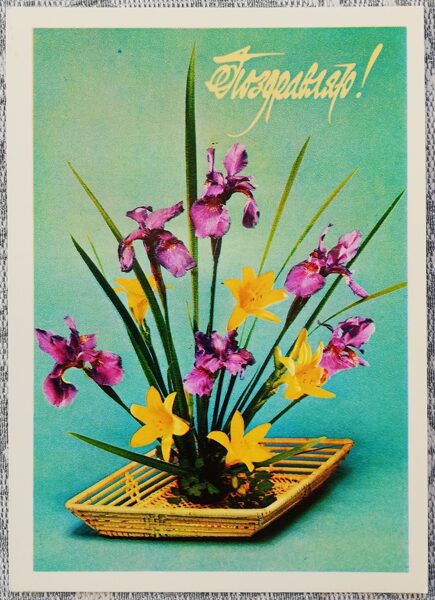"Apsveicu!" 1979. gada pastkarte PSRS 10,5x15 cm Pušķis ar īrisiem  