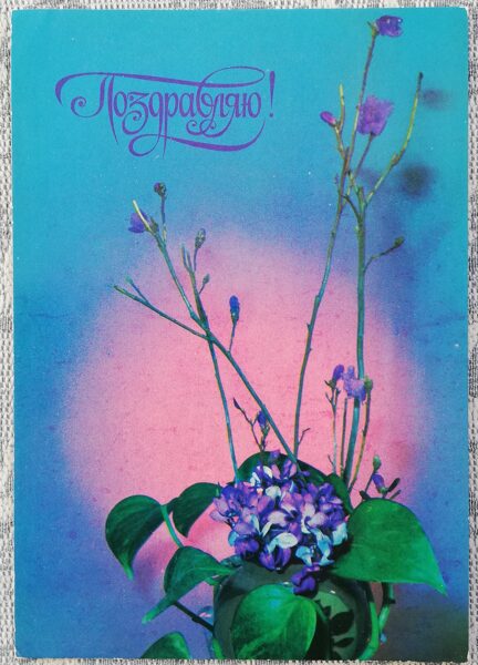 «Поздравляю!» 1978 открытка СССР 10,5x15 см Синие цветы на синем фоне  