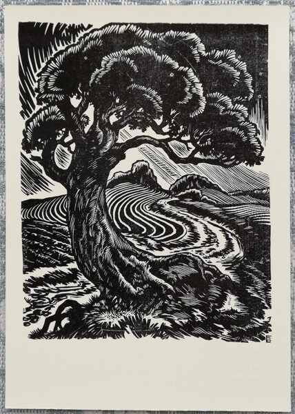 Zigurds Zuse 1970 Vientuļa priede 10,5x15 cm mākslas pastkarte grafika   